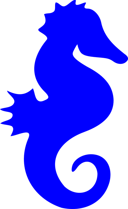 Portrayal - Clipart - Seahorse Silhouette Png (444x720)