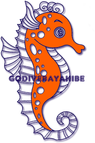 Seahorse Coloring Sheet (500x500)
