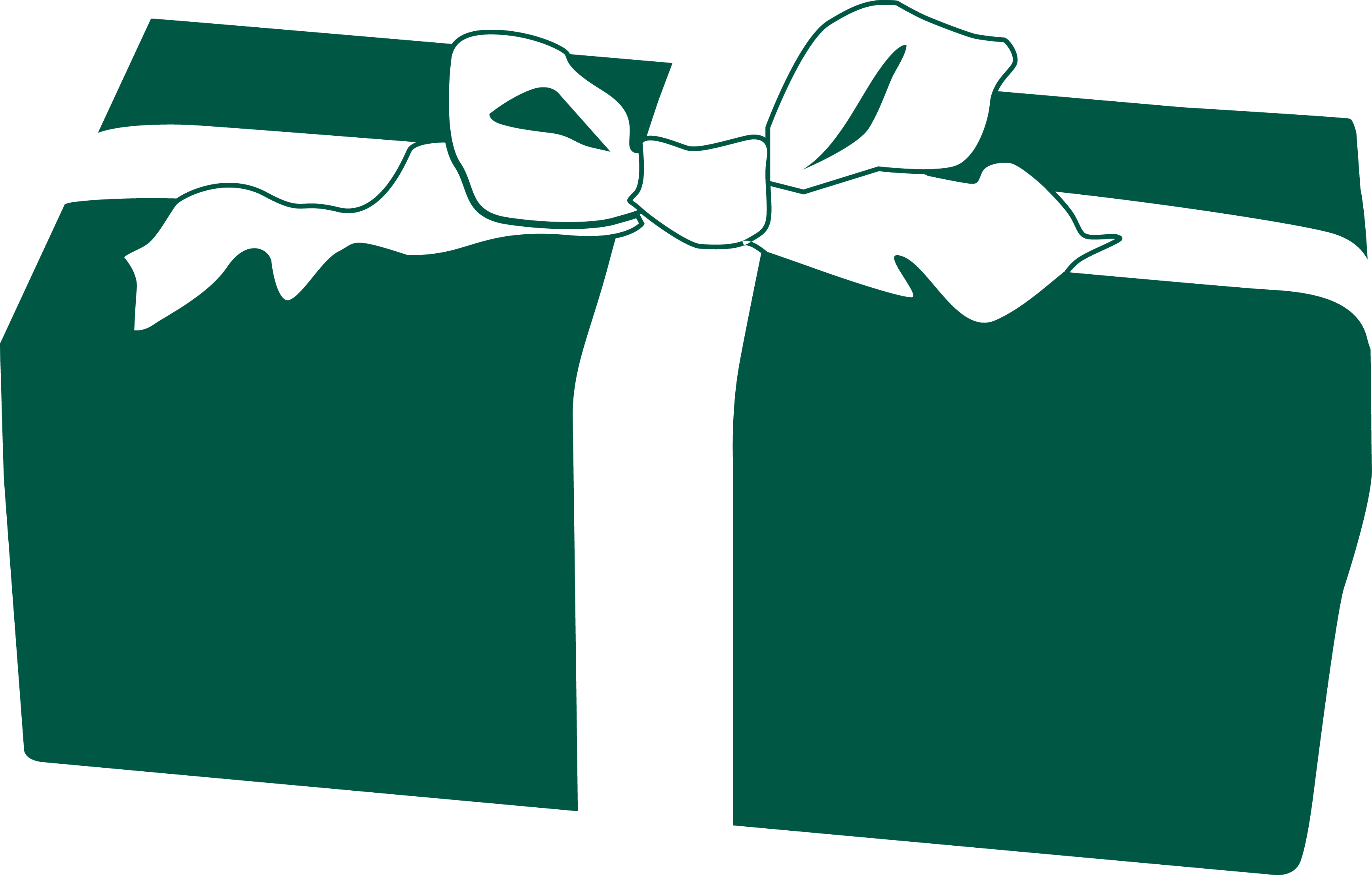 Plan Early For Christmas Gift Generousgreen - Mid Suffolk (3467x2211)