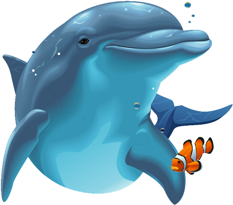 Dolphin Png Image - Dolphin Png (576x480)