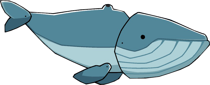 Blue Whale - Blue Whale Png Cartoon (855x348)