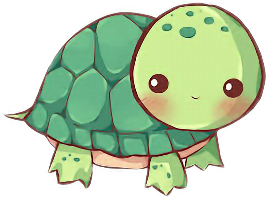 Petsandanimalscute Kawaii Tortue Tortoise - Turtle Kawaii (872x644)