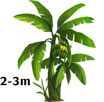 Banana Tree Png Images Vectors And Psd S On - Full Tree Banana (431x432)