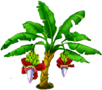 Banana Tree Stage 2 - Hay Day Banana Trees (378x338)