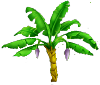 Banana Tree - Banan Tree Png (423x379)