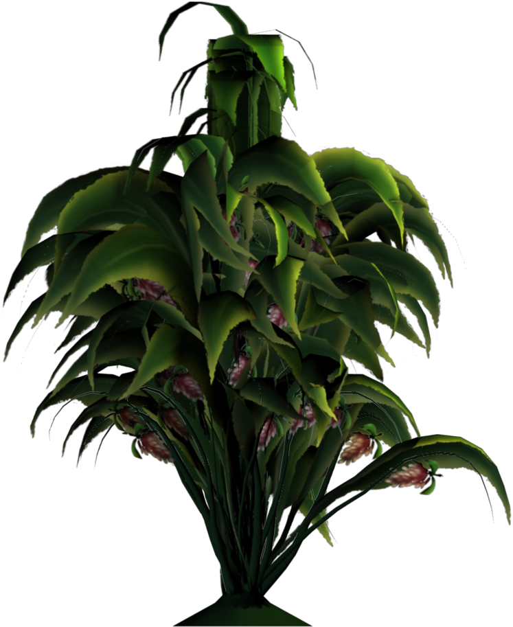 Added By Yorik On - Plant In Png File (768x1024)