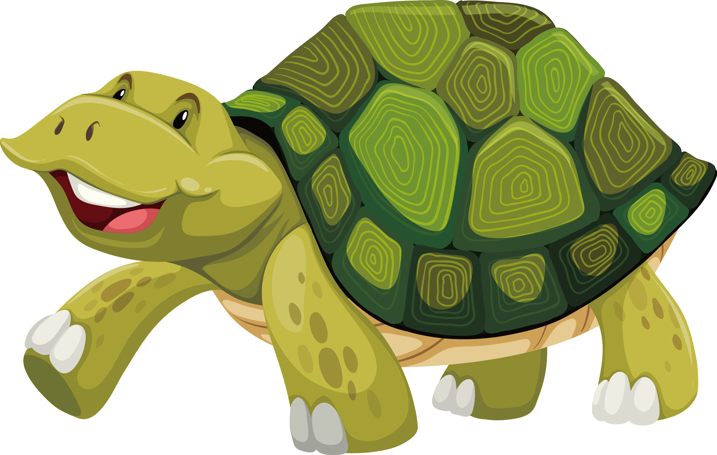 Turtle Shell Stock Photography Illustration Turtle Shell Cartoon 2311x1468 Png Clipart Download