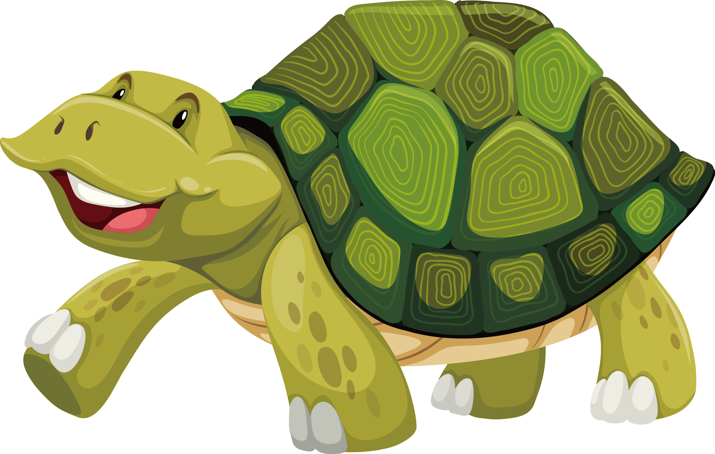 Turtle Shell Stock Photography Illustration - Turtle Shell Cartoon (2311x1468)