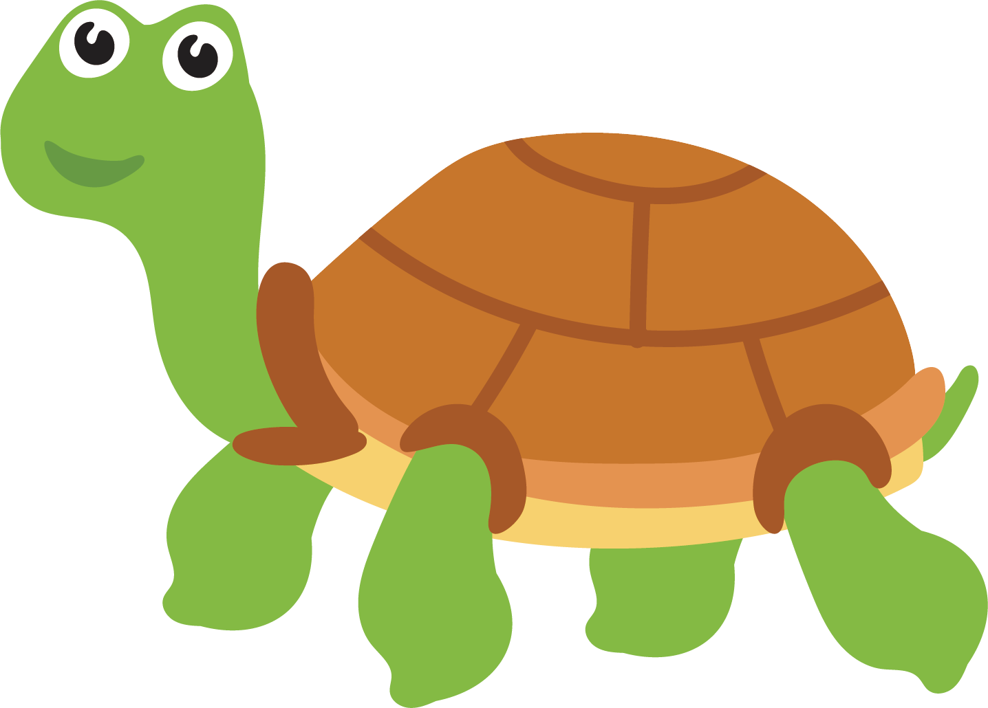 Sea Turtle Tortoise - Turtle Vector (1436x1030)