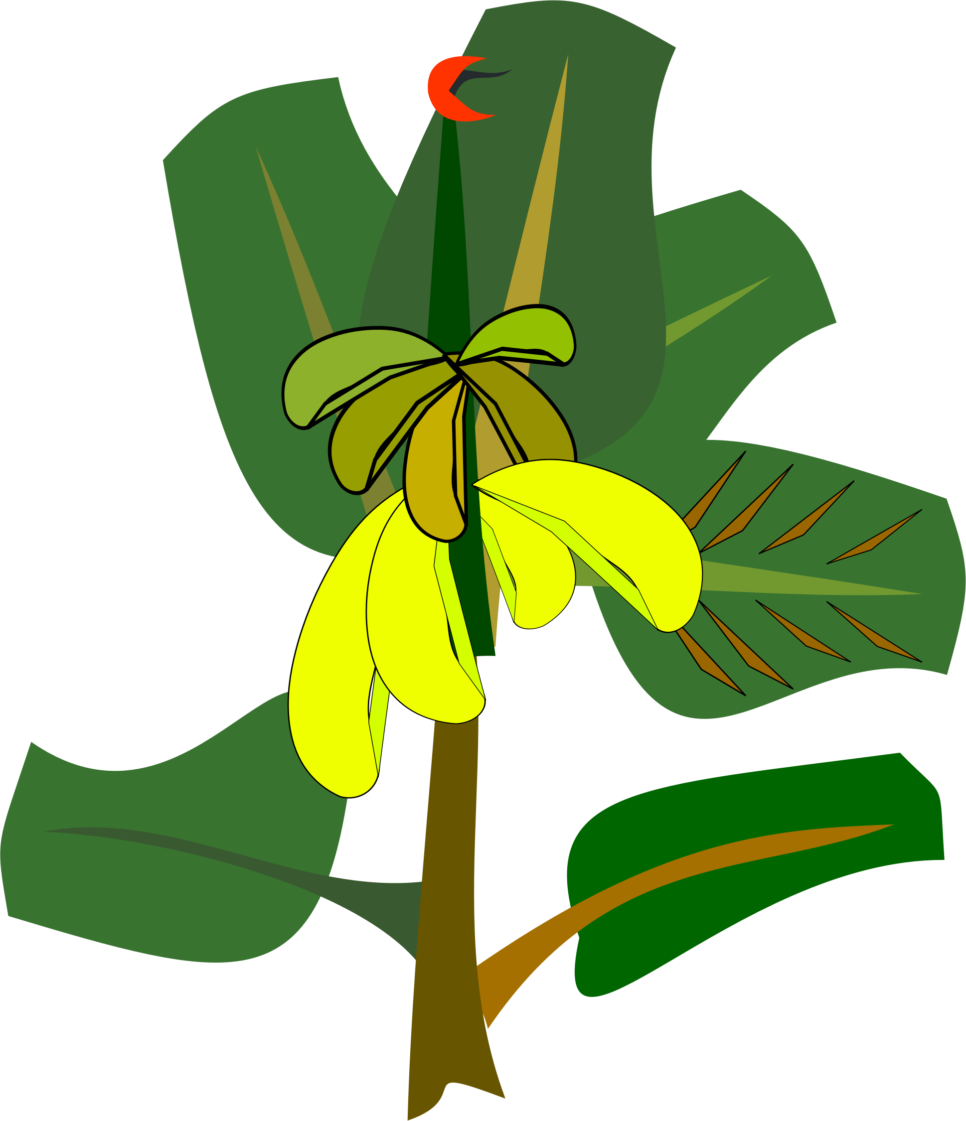 Bananas On The Tree - Banana Tree Tree Clip Art (1938x2250)