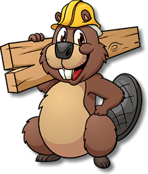 Beaver Cartoon Clip Art - Beaver Cartoon (500x586)