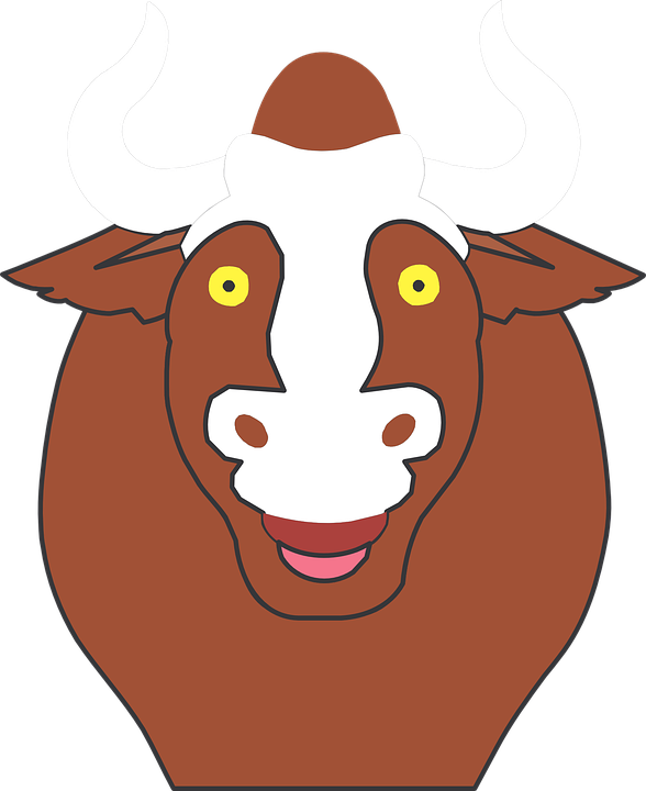 Bull Cartoon Image 12, Buy Clip Art - Bull Face Without Horns (588x720)