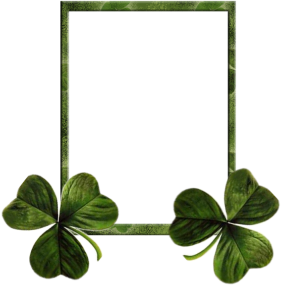 Ireland Saint Patricks Day Shamrock Clover Holiday - Ireland Saint Patricks Day Shamrock Clover Holiday (600x600)