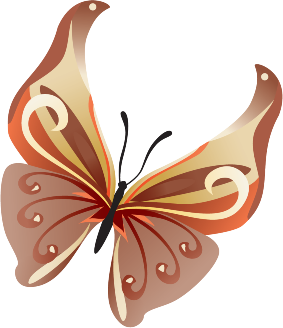 Butterfly - Butterfly Vector (957x1111)