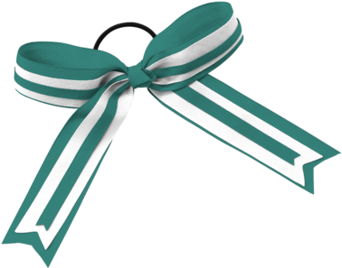 Alleson Chb2 Cheer Hype Hair Bow - Alleson Green/white Cheer Leaders Hype Hair Bows One (400x480)