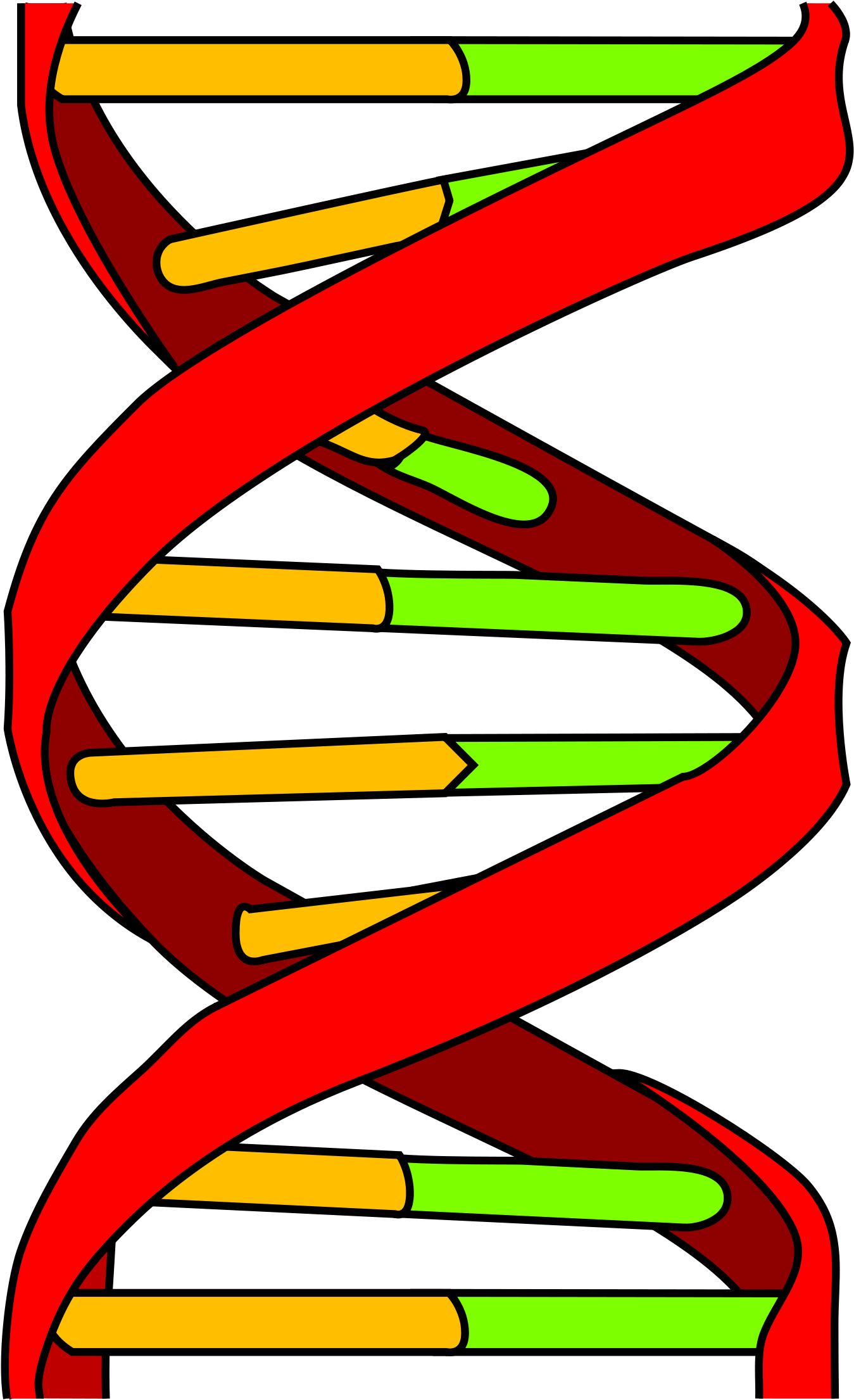 Genetics And Cancer - Dna Icon (2000x2229)