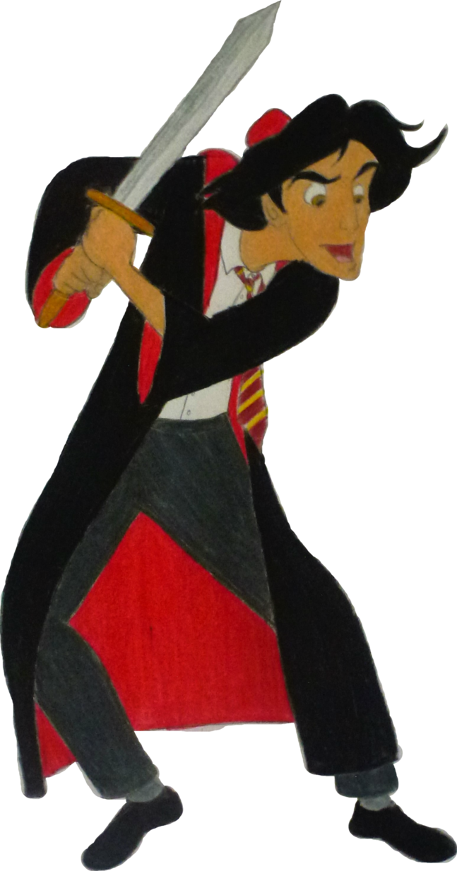 Aladdin Gryffindor By Sparklyblueroses84 - Costume (647x1233)