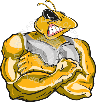 Strong Hawk (340x361)