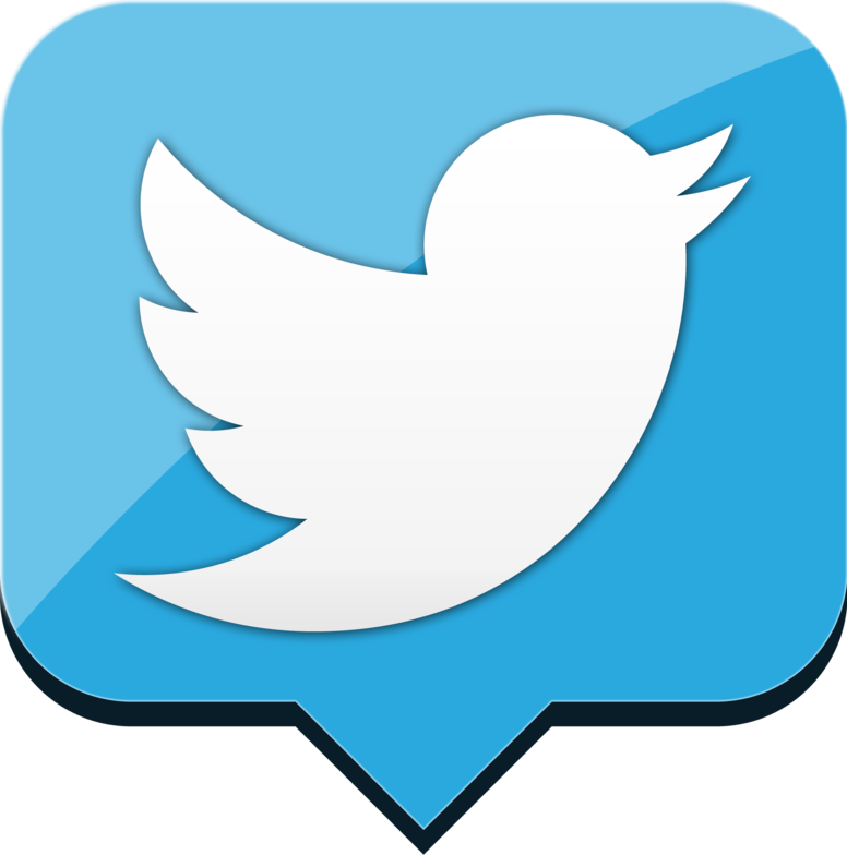Lite Up The Nite - Twitter Logo 2014 Png (990x1000)