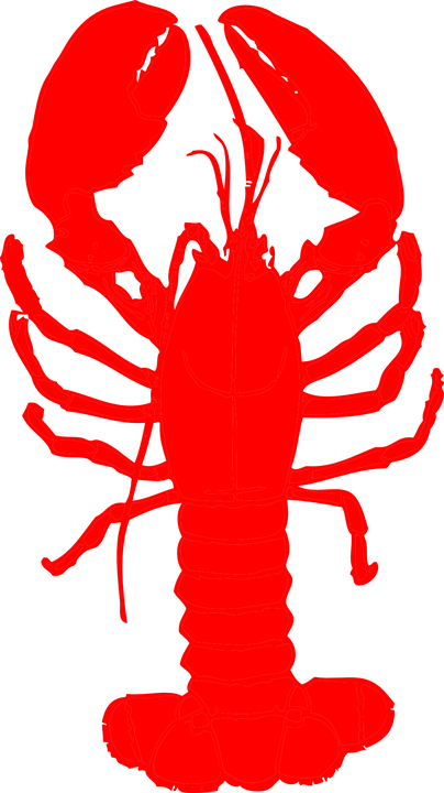 Lobster Clipart Shellfish - Lobster Vector Png (404x720)