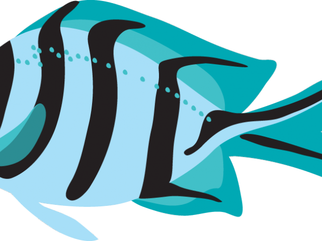 Tropical Fish Clipart Ocean Fish - Fish Black And White (640x480)
