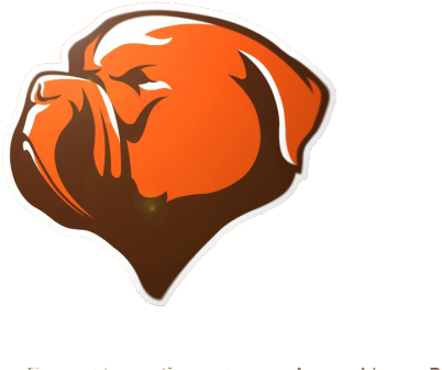 Cleveland Browns - Illustration (900x600)