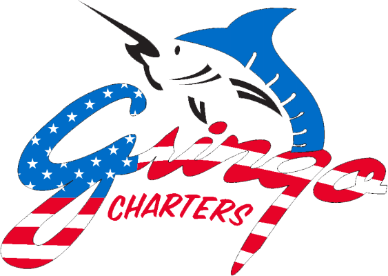 Gringo Fishing - Fishing (563x400)