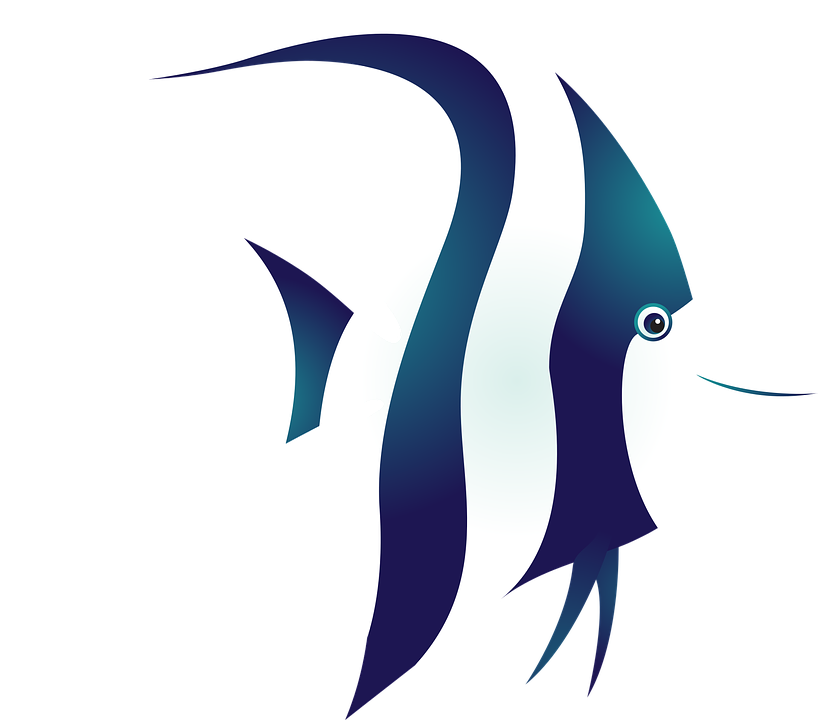 Tropical Fish Clipart 15, - Fish (819x720)