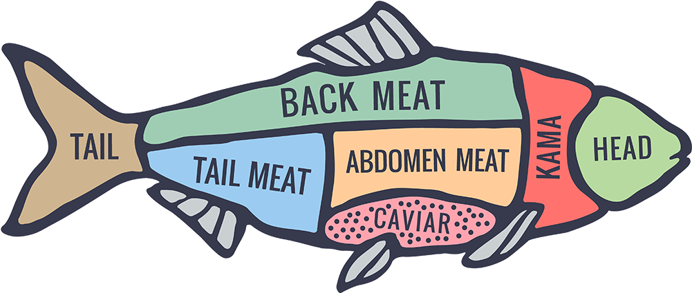 Fish Fillets - Different Cuts Of Fish (1000x500)