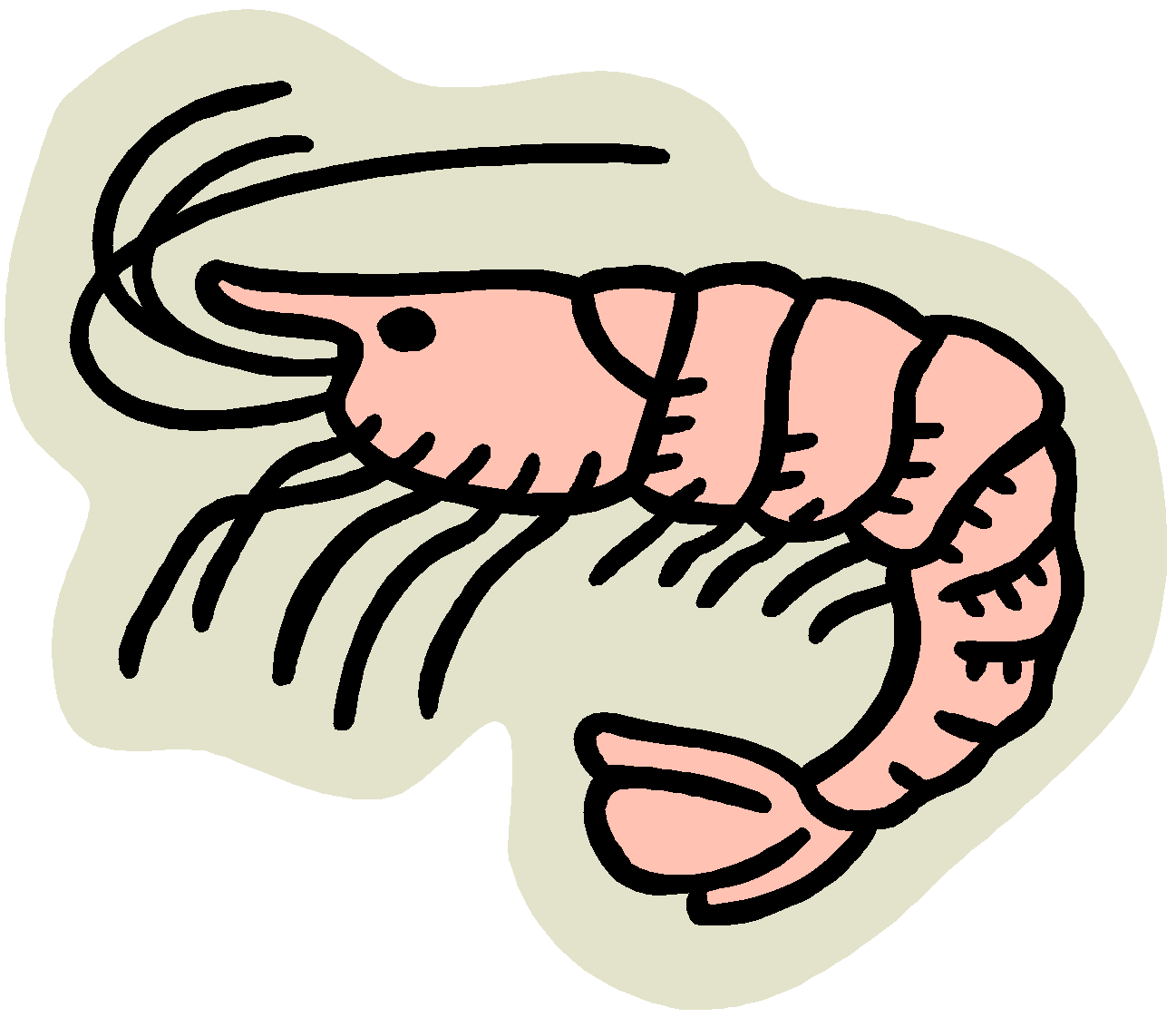 Pin Seafood Clipart Free - Clip Art Shrimp (1282x1103)