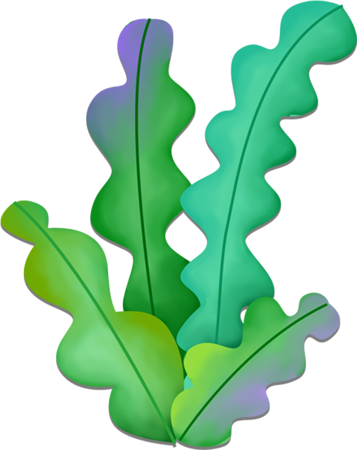 Seaweed Cartoon - Cartoon Ribbon - Seaweed Cartoon (900x900)