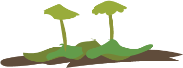 It Can Be Difficult To Differentiate And Identify Mosses, - Illustration (400x400)