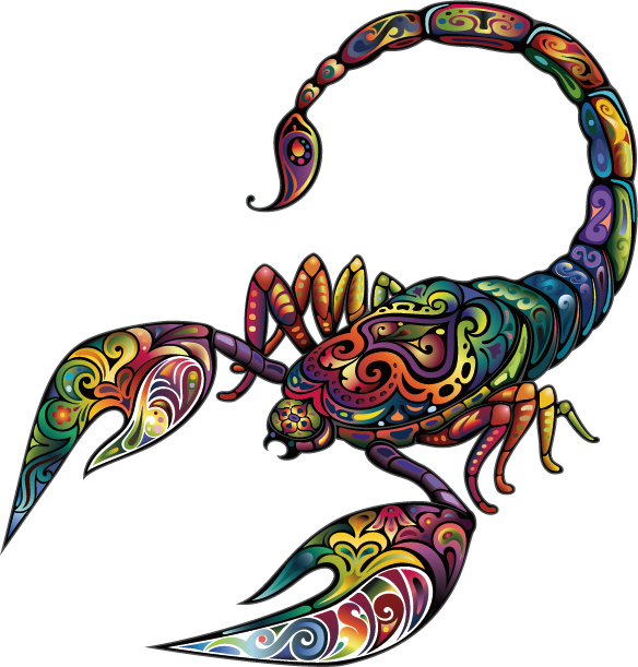 Vector Color Animal - Decal Floral Scorpion Car Window Jet Ski (14 X 13,3 (584x611)