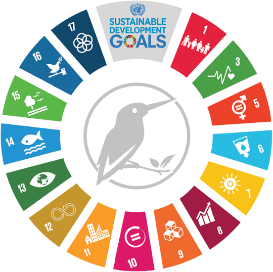 Responsible Consumption And Production - Sustainable Development Goals Logo Vector (540x538)