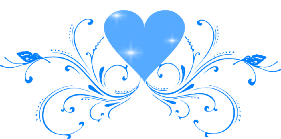 About - - Butterfly Png Images Hd (982x486)
