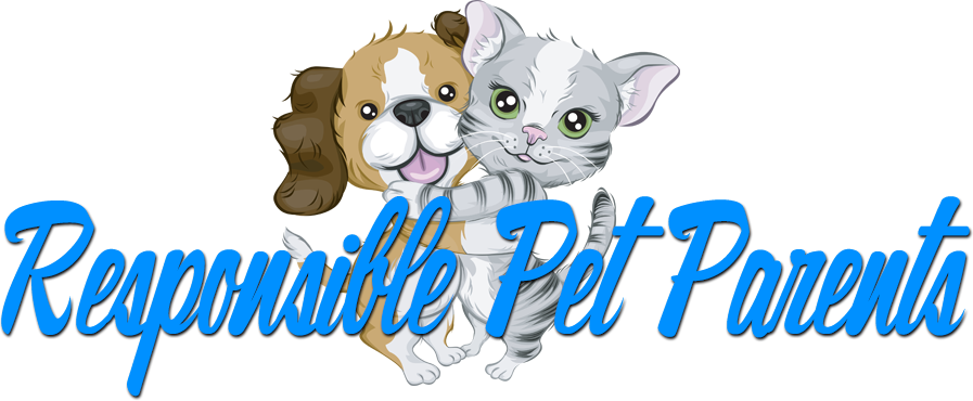 Dog And Cat Hugging (897x370)