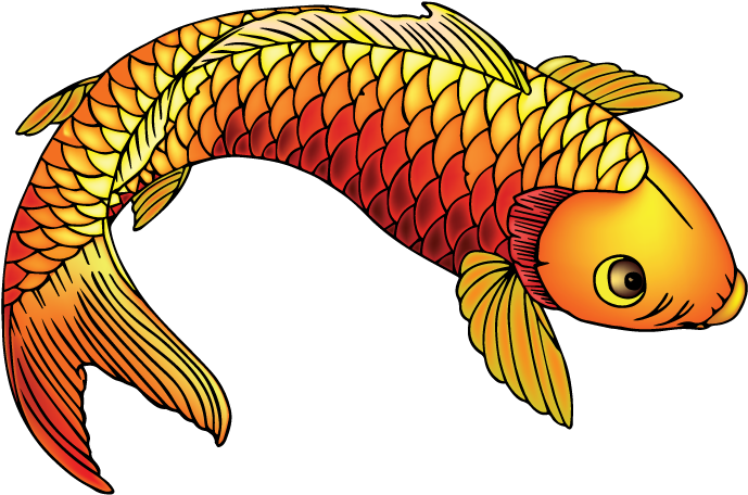 Heckardkyle 0 0 Koi Fish Live Trace By Heckardkyle - Goldfish (792x612)