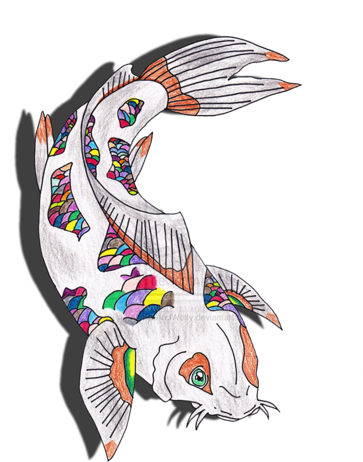 Rainbow Koi Fish Drawing By Kittykatandwolfy - Koi Fish Transparent (784x1018)