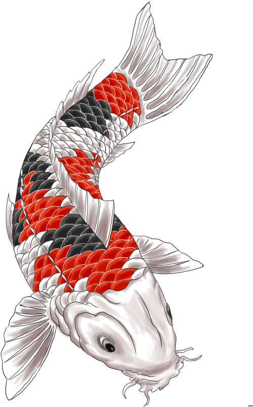 Koi Tattoo Design By Gaikotsu91 On Deviantart - Koi Carp Tattoo (612x816)
