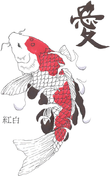 Hd Fish Tattoos Clipart - Traditional Koi Fish Art (373x600)