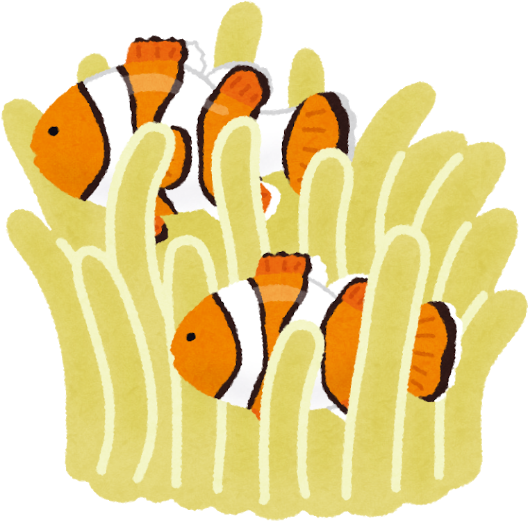イソギンチャクとカクレクマノミのイラスト - イソギンチャク イラスト (800x800)