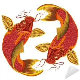 Japanese Carp On A White Background - Common Carp (400x400)