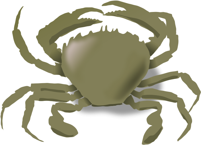 Puffer Fish Clip Art - Animals That Live Water And Land (1000x750)