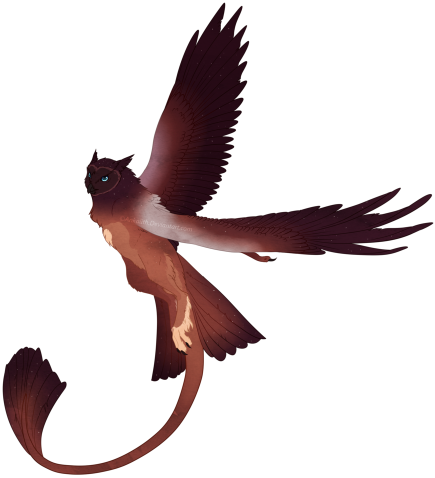 My Dream Stryx By Ankaiith My Dream Stryx By Ankaiith - Dream (1024x1024)