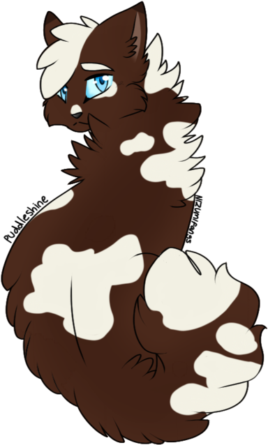 Warrior Cats Puddleshine (1024x640)