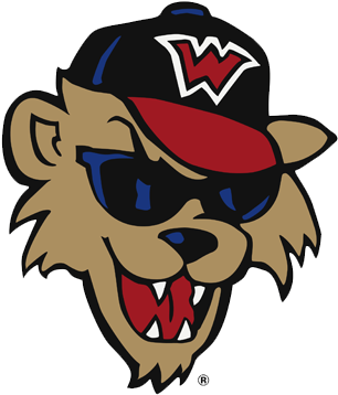 Cat Head Vector 2011 - Cartoon (500x500)