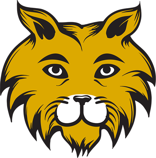 Museum Academy - Wildcat (500x507)