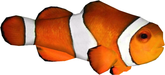 Clownfish Zerosvalmont - Real Clown Fish Png (566x566)