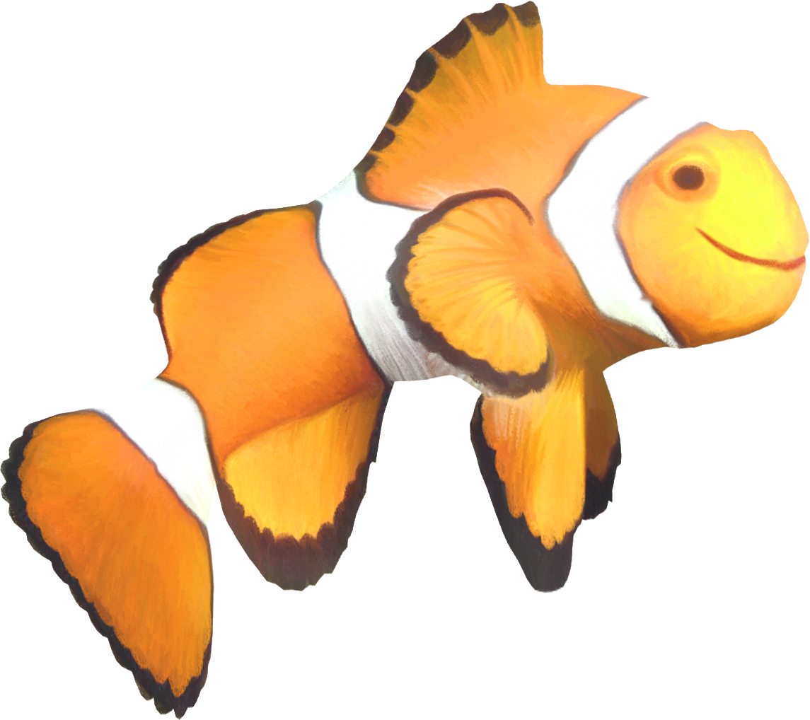 Clown Fish Png - Fish (1145x1018)