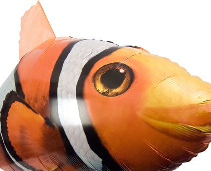 Www - Wowstuff - Co - Uk - College Of Southern Maryland (420x340)